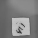 문정탑 동물병원 이미지