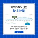 월디 | 영문 SNS 마케팅 인스타그램 페이스북 링크드인 대행 후기 월디마케팅