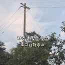 호그니 하우스 네이버블로그