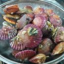 예당초등학교앞 이미지