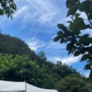 양평숲 비룡캠프장 이미지