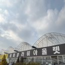 양귀비플라워 | 남사화훼단지 예삐플라워아울렛 방문 후기 봄맞이 식물 쇼핑 추천