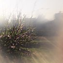 원인재역 이미지