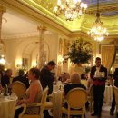 테라피 클래식 이미지