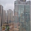 신세계써비스 | [중구] 김수사 신세계백화점 본점 내돈내산 솔직후기 (서비스...)