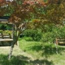 영월약수터 오토캠핑장 이미지