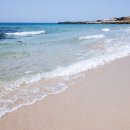 마레보카라반 이미지