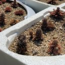 동매경로당 이미지