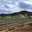 초당대학교 기숙사 이미지