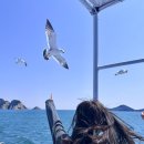머물다 그섬에 | 가족여행추천 1박3식 군산 신시도 여행(+식사메뉴/ 신시도산아래식당, 머물다그섬에 펜션 내부사진)
