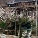 장안사산장식당 이미지