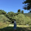 세븐일레븐 인천장수주공점 | 인천 가볼만한곳 인천대공원 추천 (꿀팁)