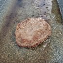 보드레펜션 이미지