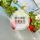 유봉농장 이미지