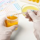 올바른 건강검진법 이미지