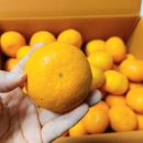 온유농장 이미지