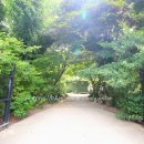 아미미술관 이미지