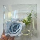 자이언트 플라워, 페이퍼 플라워, 포토존 제작_냐플냐플_내돈내산 후기