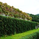 재미있게 이미지