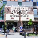 27 | 대전 성심당 튀김소보로만 빠르게 구매하고 싶다면 DCC '튀소정거장'