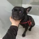 국채보상로151길 이미지