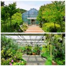 섬바다향기 이미지