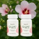 웰빙다이어트