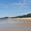 솔숲과 바다 이미지