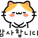 아르테스튜디오 이미지