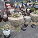 성윤횟집 이미지