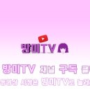 한남체인 - 서구 | 미국 대표 한인마트 한남체인 다녀온 솔직 후기 "장보기가 무서워요" [여기는 LA]