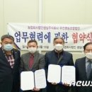 법인샘실