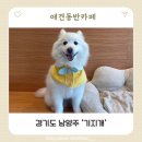 팔현1리 | [경기 남양주] 서울근교 팔현계곡 근처 애견동반 카페 ‘기지개’