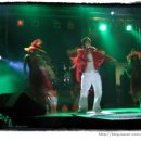 스타다이스 이미지