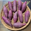 프리미엄농장 이미지