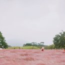 태안팜랜드 이미지