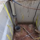 부여농협주유소 이미지