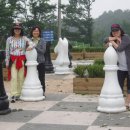 매봉산 정상 이미지