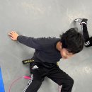 태무강울태권도장 이미지