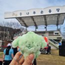 반딧불농원 | 2026 무주 반딧불 하프 마라톤 후기&amp;무주농원