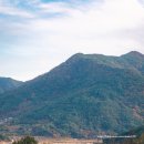 스테이인포시즌 이미지