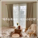 와유민박 | 제주 에어비앤비 세오니네민박 찐! 감성터지는 제주 동부 성산 숙소 추천 후기