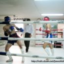 태산체육관 이미지