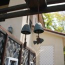 1월펜션 이미지