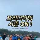 미미다이브 네이버블로그