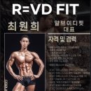 알브이디핏