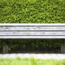 생명나무한의원 이미지