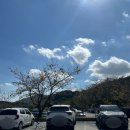 예산장갑 | 예산 가야산 등산코스 후기 블랙야크 100대 명산