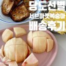인터넷 토탈마켓 러쉬 | 송사장 꿀백도 복숭아 서브마켓 백도 당도 선별 과일 배송 솔직 후기