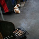 석쇠생선구이집 네이버블로그